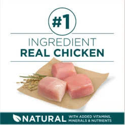 Purina ONE +Plus Natural Large Breed Formula Dry Puppy Food -ROYAL CANIN Shop 355894 PT3. AC SS1800 V1676318664