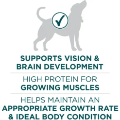 Purina ONE +Plus Natural Large Breed Formula Dry Puppy Food -ROYAL CANIN Shop 355894 PT4. AC SS1800 V1676051535