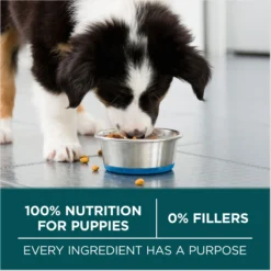 Purina ONE +Plus Natural Large Breed Formula Dry Puppy Food -ROYAL CANIN Shop 355894 PT6. AC SS1800 V1676319357