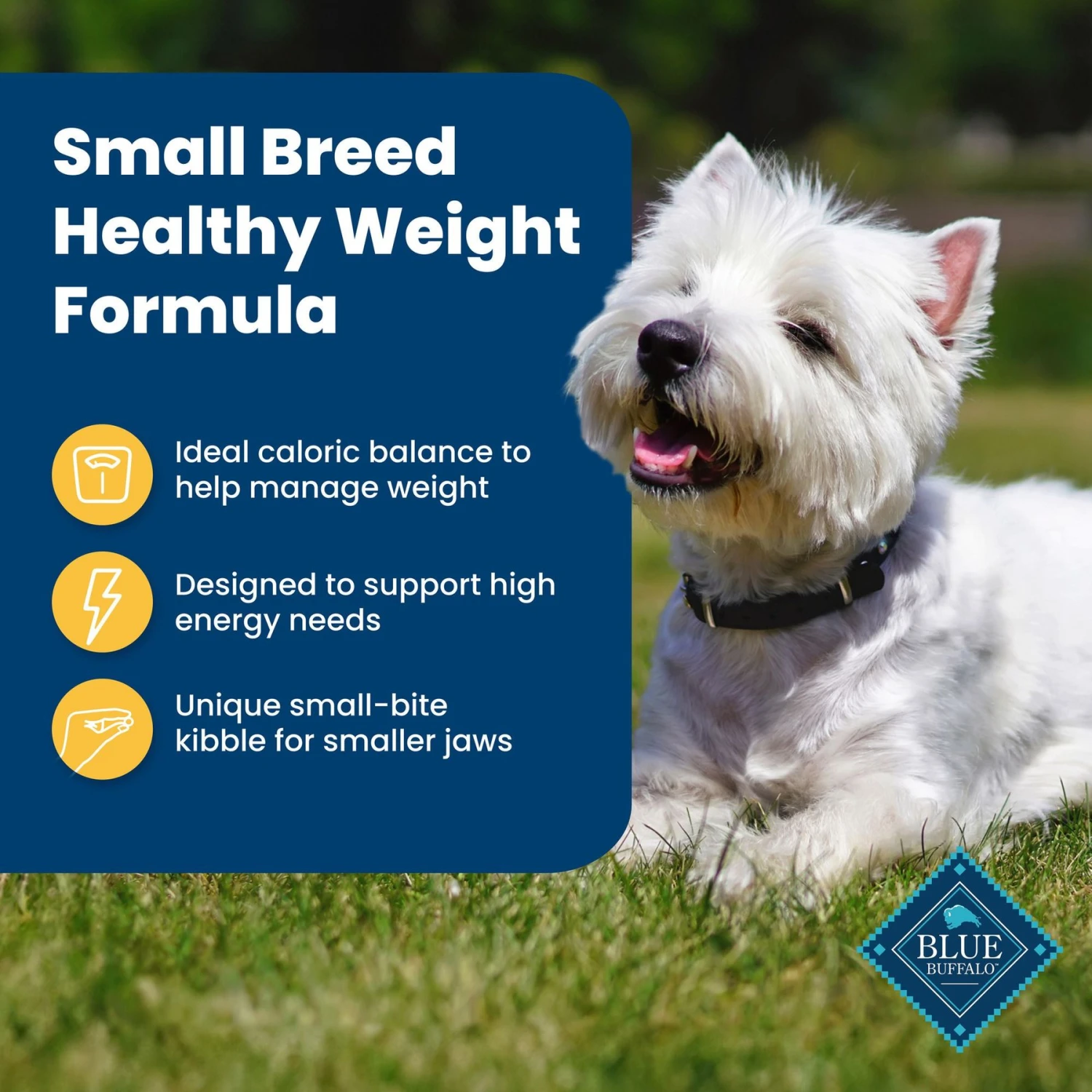 Blue Buffalo Life Protection Formula Small Breed Healthy Weight Adult Chicken & Brown Rice Recipe Dry Dog Food 4 Blue Buffalo Life Protection Formula Small Breed Healthy Weight Adult Chicken & Brown Rice Recipe Dry Dog Food - Image 4