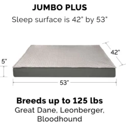 FurHaven Quilt Top Cooling Gel Convertible Indoor/Outdoor Cat & Dog Bed 15 FurHaven Quilt Top Cooling Gel Convertible Indoor/Outdoor Cat & Dog Bed -ROYAL CANIN Shop 362151 PT7. AC SS1800 V1645659402