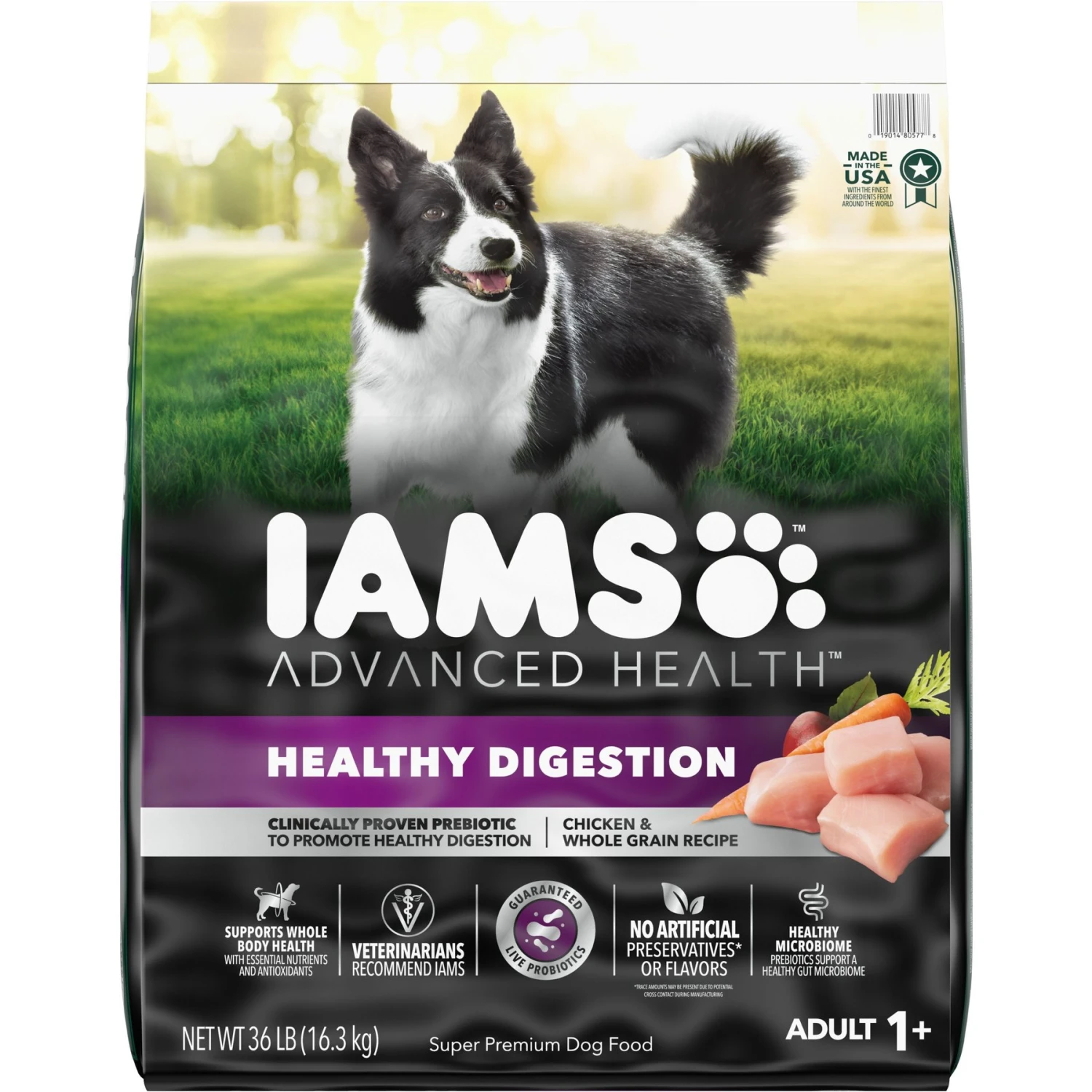 Iams Advanced Health Healthy Digestion With Probiotics Formula With Chicken & Whole Grain Adult Dry Dog Food 1 Iams Advanced Health Healthy Digestion With Probiotics Formula With Chicken & Whole Grain Adult Dry Dog Food