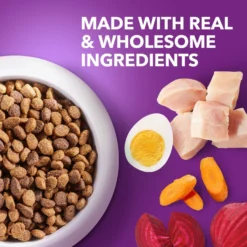 Iams Advanced Health Healthy Digestion With Probiotics Formula With Chicken & Whole Grain Adult Dry Dog Food 11 Iams Advanced Health Healthy Digestion With Probiotics Formula With Chicken & Whole Grain Adult Dry Dog Food -ROYAL CANIN Shop 362450 PT2. AC SS1800 V1668023594