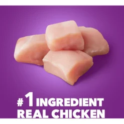 Iams Advanced Health Healthy Digestion With Probiotics Formula With Chicken & Whole Grain Adult Dry Dog Food 12 Iams Advanced Health Healthy Digestion With Probiotics Formula With Chicken & Whole Grain Adult Dry Dog Food -ROYAL CANIN Shop 362450 PT3. AC SS1800 V1667865237