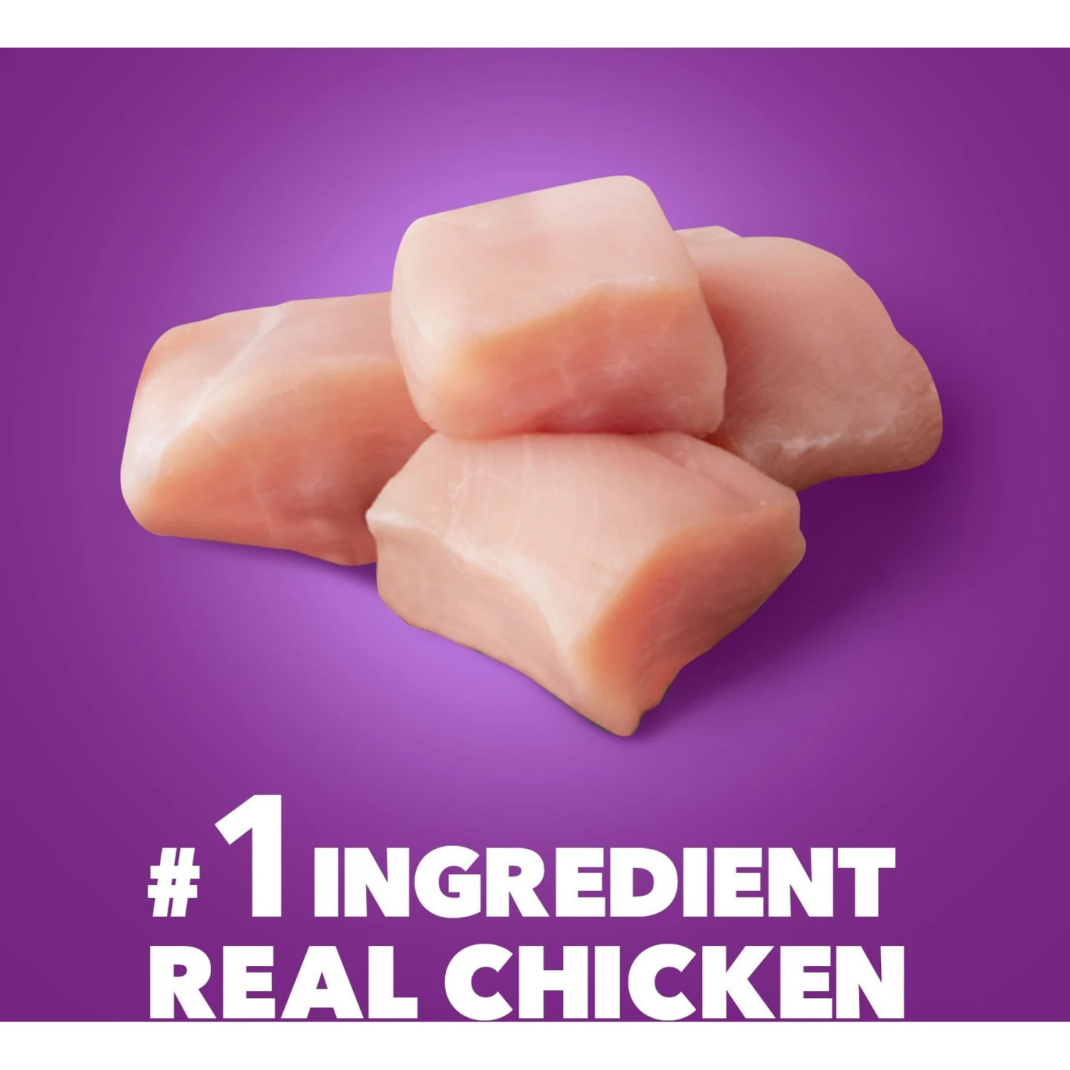 Iams Advanced Health Healthy Digestion With Probiotics Formula With Chicken & Whole Grain Adult Dry Dog Food 4 Iams Advanced Health Healthy Digestion With Probiotics Formula With Chicken & Whole Grain Adult Dry Dog Food - Image 4