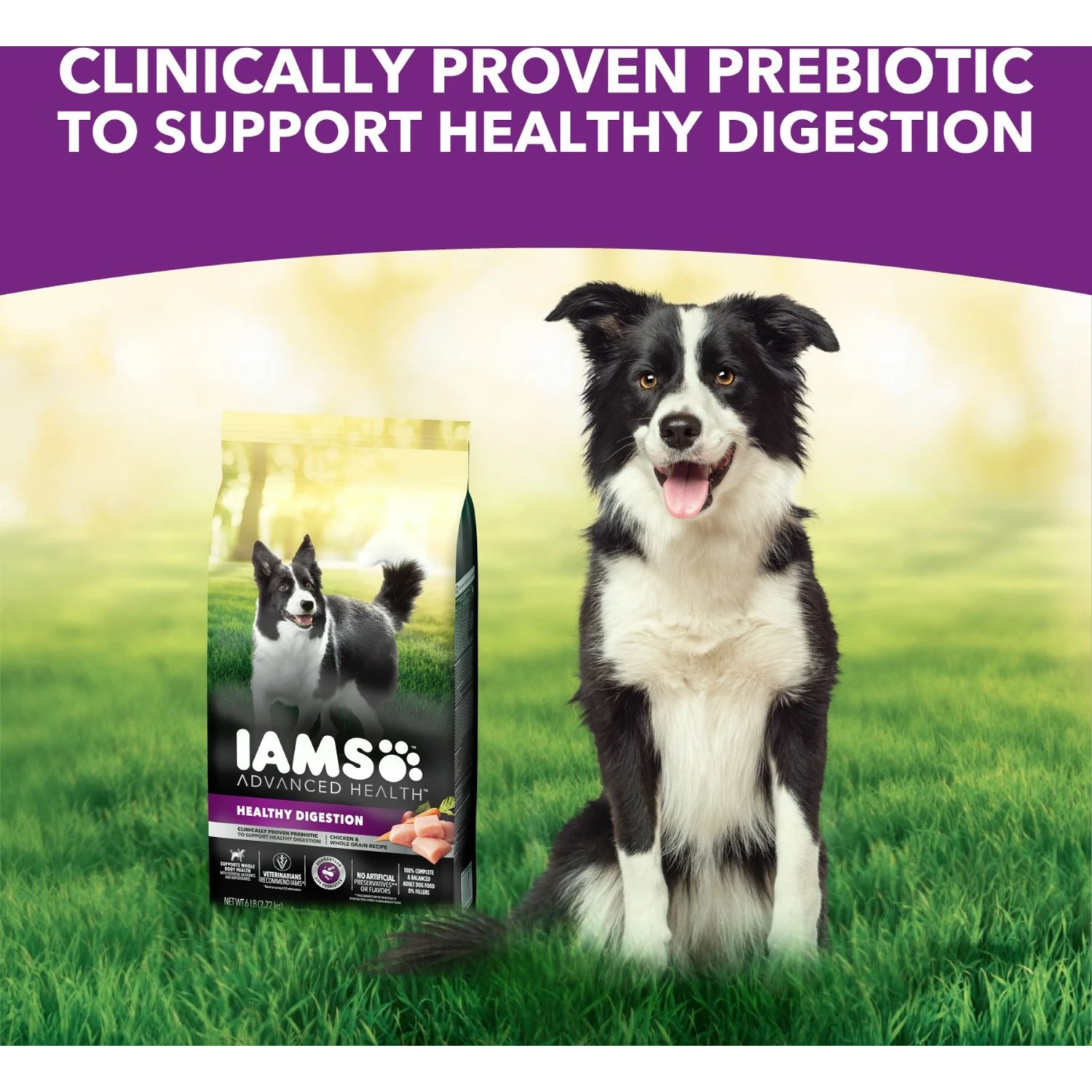 Iams Advanced Health Healthy Digestion With Probiotics Formula With Chicken & Whole Grain Adult Dry Dog Food 9 Iams Advanced Health Healthy Digestion With Probiotics Formula With Chicken & Whole Grain Adult Dry Dog Food - Image 9