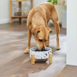 Frisco Elevated Terrazzo Non-skid Ceramic Bowl With Bamboo Stand 11 Frisco Elevated Terrazzo Non-skid Ceramic Bowl With Bamboo Stand -ROYAL CANIN Shop 363375 PT2. AC SS1800 V1657657266