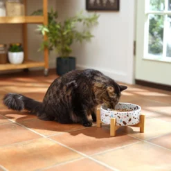 Frisco Elevated Terrazzo Non-skid Ceramic Bowl With Bamboo Stand 12 Frisco Elevated Terrazzo Non-skid Ceramic Bowl With Bamboo Stand -ROYAL CANIN Shop 363375 PT3. AC SS1800 V1658182548