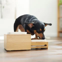 Frisco Elevated Non-Skid Bamboo Melamine Bowl Double Diner With Bamboo Stand 7 Frisco Elevated Non-Skid Bamboo Melamine Bowl Double Diner With Bamboo Stand -ROYAL CANIN Shop 363385 PT5. AC SS1800 V1657657267