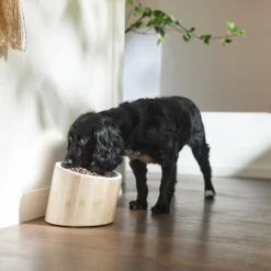 Frisco Elevated Slanted Bamboo Melamine Non-Skid Dog Bowl With Bamboo Stand -ROYAL CANIN Shop 363387 PT2. AC SS1800 V1657657267
