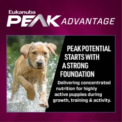Eukanuba Premium Performance Pro Puppy Dry Dog Food 11 Eukanuba Premium Performance Pro Puppy Dry Dog Food -ROYAL CANIN Shop 367115 PT3. AC SS1800 V1661528755