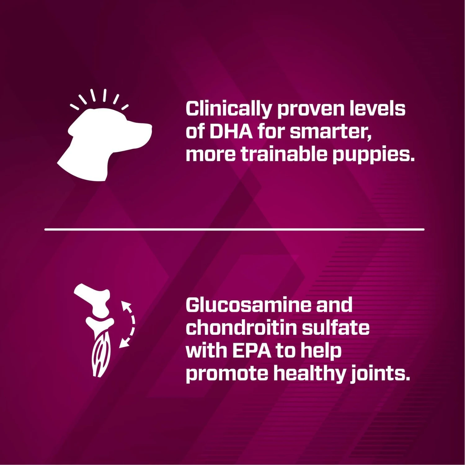 Eukanuba Premium Performance Pro Puppy Dry Dog Food 5 Eukanuba Premium Performance Pro Puppy Dry Dog Food - Image 5