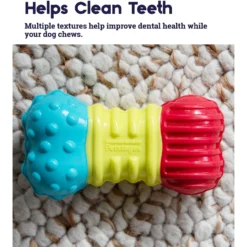 Petstages Multi-Squeak Bone Dog Chew Toy -ROYAL CANIN Shop 367946 PT2. AC SS1800 V1644532053