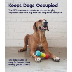 Petstages Multi-Squeak Bone Dog Chew Toy -ROYAL CANIN Shop 367946 PT3. AC SS1800 V1644525450