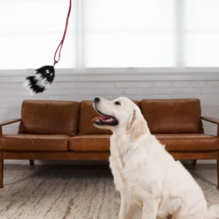 Outward Hound Fox Tail Teaser Wand Dog Toy Replacement Lure 12 Outward Hound Fox Tail Teaser Wand Dog Toy Replacement Lure -ROYAL CANIN Shop 368180 PT5. AC SS1800 V1644529397