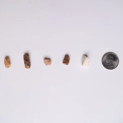 Pupford Beef Liver Training Freeze-Dried Dog Treats -ROYAL CANIN Shop 368260 PT7. AC SS1800 V1677538544