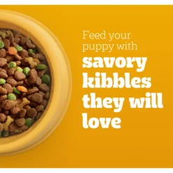 Pedigree Puppy Growth & Protection Chicken & Vegetable Flavor Dry Dog Food -ROYAL CANIN Shop 368360 PT3. AC SS1800 V1668027274