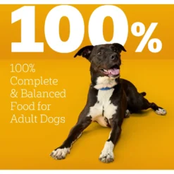 Pedigree High Protein Chicken & Turkey Flavor Adult Dry Dog Food -ROYAL CANIN Shop 368365 PT8. AC SS1800 V1668026299