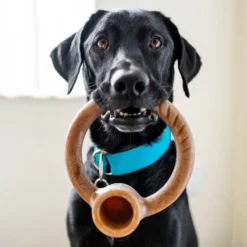 Front Page -ROYAL CANIN Shop 370193 PT1. AC SS1800 V1646756278