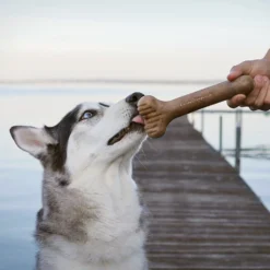 Lumabone Bulkster Bacon Flavor Dog Toy -ROYAL CANIN Shop 370197 PT4. AC SS1800 V1646783525