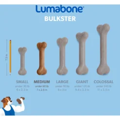 Lumabone Bulkster Bacon Flavor Dog Toy -ROYAL CANIN Shop 370197 PT5. AC SS1800 V1646764954
