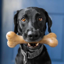 Lumabone Bulkster Beef Flavor Dog Toy -ROYAL CANIN Shop 370204 PT4. AC SS1800 V1646795884