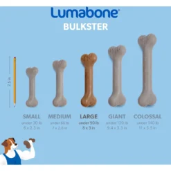 Lumabone Bulkster Beef Flavor Dog Toy -ROYAL CANIN Shop 370204 PT5. AC SS1800 V1646765525