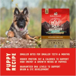 Stella & Chewy's Puppy Prairie Recipe Wild Red Raw Coated High Protein Wholesome Grains Dry Dog Food -ROYAL CANIN Shop 370802 PT6. AC SS1800 V1667519476