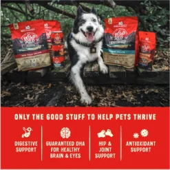 Stella & Chewy's Puppy Prairie Recipe Wild Red Raw Coated High Protein Wholesome Grains Dry Dog Food -ROYAL CANIN Shop 370802 PT8. AC SS1800 V1667518645