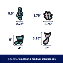 Frisco Valentine Love Song Record Player Hide & Seek Puzzle Plush Squeaky Dog Toy -ROYAL CANIN Shop 371087 PT2. AC SS1800 V1701364927