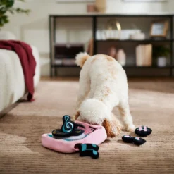 Frisco Valentine Love Song Record Player Hide & Seek Puzzle Plush Squeaky Dog Toy -ROYAL CANIN Shop 371087 PT3. AC SS1800 V1668737233