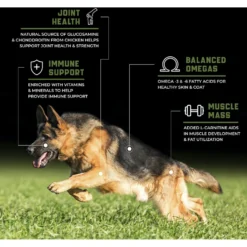 SPORTMiX CanineX Performance Chicken Formula Dry Dog Food -ROYAL CANIN Shop 373348 PT3. AC SS1800 V1647475599