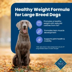 Blue Buffalo Life Protection Formula Large Breed Healthy Weight Adult Chicken & Brown Rice Recipe Dry Dog Food -ROYAL CANIN Shop 46892 PT3. AC SS1800 V1701982219