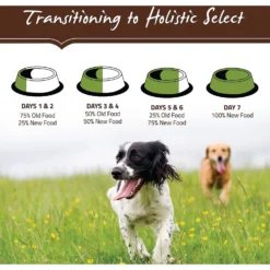 Holistic Select Adult Health Lamb Meal Recipe Dry Dog Food -ROYAL CANIN Shop 47639 PT8. AC SS1800 V1510679293