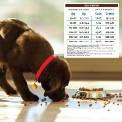 Holistic Select Large & Giant Breed Adult Health Chicken Meal & Oatmeal Recipe Dry Dog Food -ROYAL CANIN Shop 47654 PT5. AC SS1800 V1660574060