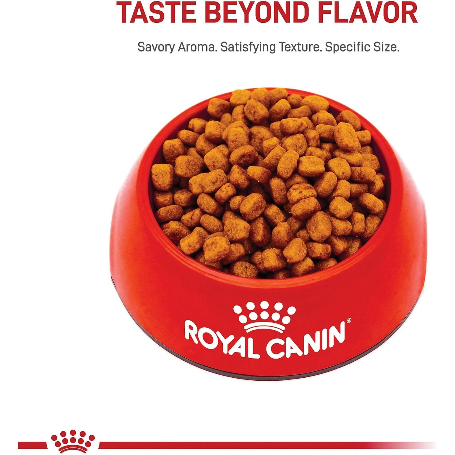 Royal Canin Breed Health Nutrition Yorkshire Terrier Adult Dry Dog Food 2 Royal Canin Breed Health Nutrition Yorkshire Terrier Adult Dry Dog Food - Image 2