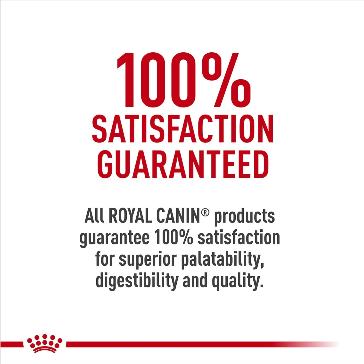 Royal Canin Breed Health Nutrition Miniature Schnauzer Adult Dry Dog Food 6 Royal Canin Breed Health Nutrition Miniature Schnauzer Adult Dry Dog Food - Image 6