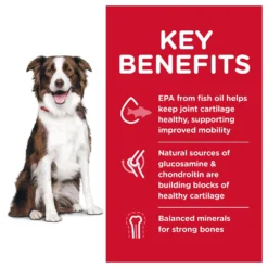 Hill's Science Diet Adult Healthy Mobility Large Breed Chicken Meal, Brown Rice & Barley Recipe Dry Dog Food -ROYAL CANIN Shop 48930 PT2. AC SS1800 V1629133290