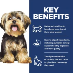 Hill's Science Diet Adult Small & Mini Chicken Meal & Rice Recipe Dry Dog Food -ROYAL CANIN Shop 48941 PT5. AC SS1800 V1692798791