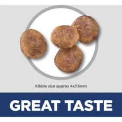 Hill's Science Diet Adult Small & Mini Chicken Meal & Rice Recipe Dry Dog Food -ROYAL CANIN Shop 48941 PT6. AC SS1800 V1692801732