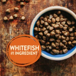 Wellness CORE Ocean Whitefish, Herring & Salmon Recipe Dry Dog Food -ROYAL CANIN Shop 49158 PT3. AC SS1800 V1594855556