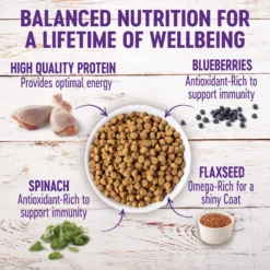Wellness Complete Health Puppy Deboned Chicken, Oatmeal & Salmon Meal Recipe Dry Dog Food -ROYAL CANIN Shop 49183 PT2. AC SS1800 V1677616437