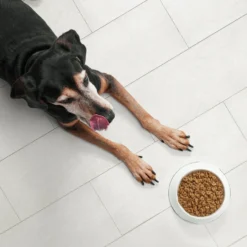 Nutro Ultra Senior Dry Dog Food -ROYAL CANIN Shop 49630 PT3. AC SS1800 V1702678487