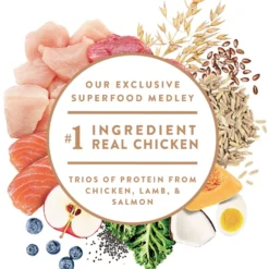 Nutro Ultra Small Breed High Protein Adult Dry Dog Food -ROYAL CANIN Shop 49641 PT3. AC SS1800 V1702678849