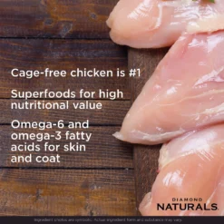 Diamond Naturals Small Breed Adult Chicken & Rice Formula Dry Dog Food -ROYAL CANIN Shop 49733 PT3. AC SS1800 V1641255725