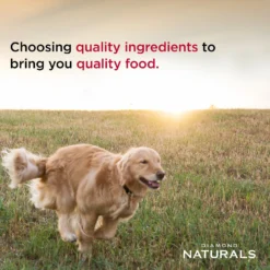 Diamond Naturals Small & Medium Breed Puppy Formula Dry Dog Food -ROYAL CANIN Shop 49737 PT4. AC SS1800 V1635741437