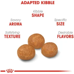 Royal Canin Size Health Nutrition X-Small Adult Dry Dog Food -ROYAL CANIN Shop 50244 PT3. AC SS1800 V1697216145