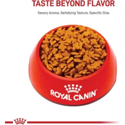 Front Page -ROYAL CANIN Shop 50246 PT1. AC SS1800 V1592546456