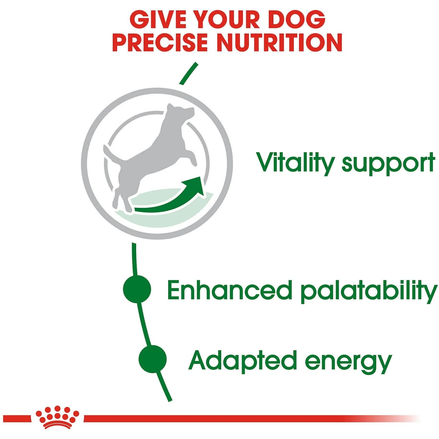Royal Canin Size Health Nutrition Small Adult 8+ Dry Dog Food 5 Royal Canin Size Health Nutrition Small Adult 8+ Dry Dog Food - Image 5