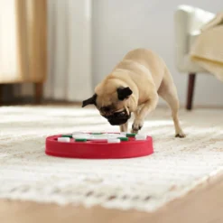 Frisco Bento Interactive Puzzle Dog Toy, Moderate -ROYAL CANIN Shop 506226 PT5. AC SS1800 V1674664929